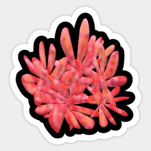 Abstract Coral For Charity Sticker